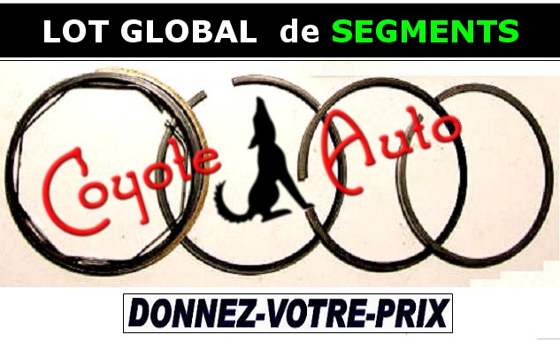 Lot TOTAL de segments moteur vehicules anciens annees 1950 a 1980 (faire offre)