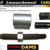 11251 DAMS 31