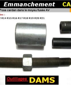 11251 DAMS 31
