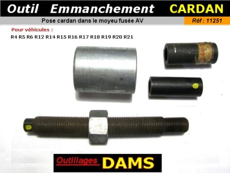 11251 DAMS 31