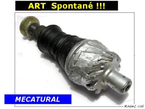 VINTAGE - ART Spontané Pignon AAttaquer !!!