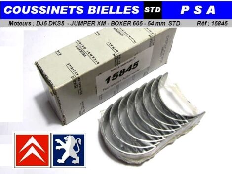 Coussinets de Bielle - CITROEN Jumper Xm PEUGEOT Boxer 605 - 2,5L Diesel DJ5 DKS5 - STD 54mm