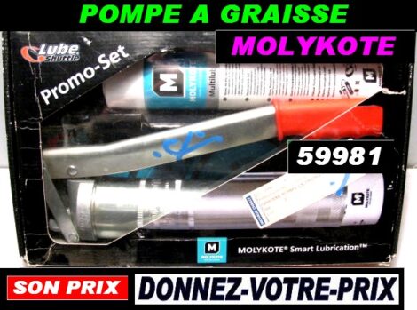 Kit pompe à graisse avec 2 cartouches - MOLYKOTE (service atelier)