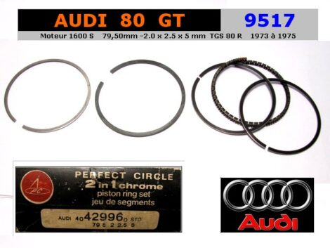Segments Moteur Audi 80 GT & Golf 1600 79.50mm STD (collection)