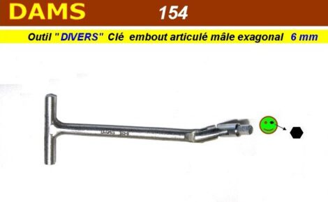 Outil spécifique embout hexagonal - BTR 6 mm - DAMS D154 (outillage atelier)