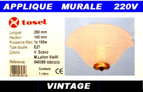 Lot 2 appliques murales - 220v E27 100w - Verre blanc moucheté 305X150 mm - VINTAGE