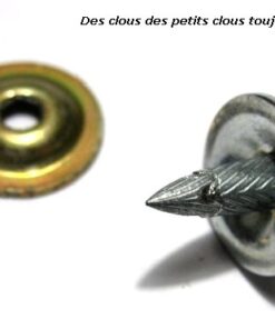 2197 C